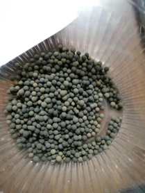 西双版纳傣族自治州高价回收催化剂